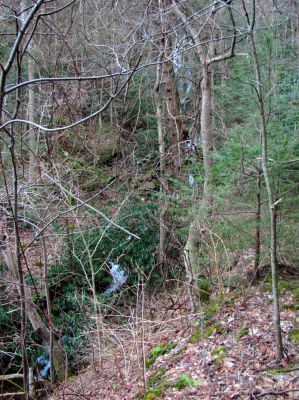 Upper Longarm Branch Falls
Taken on 3-12-2011
