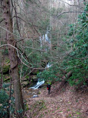 Upper Longarm Branch Falls
Taken on 3-12-2011
