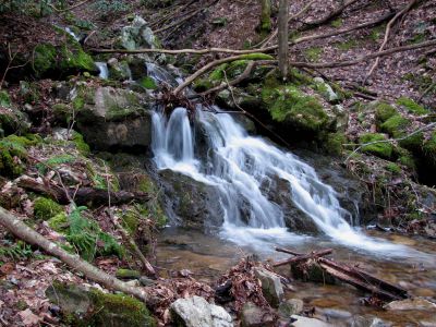 Upper Longarm Branch Falls
Bottom of upper falls Taken on 3-12-2011
