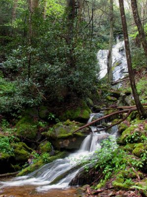 Taken April 25, 2012
