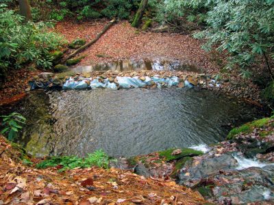 Looking down from the top of the falls (taken 11-16-2013)
