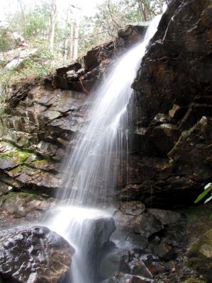 Millstone Creek Falls
Taken 3-21-2010
