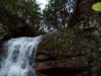 Lilybeth Falls (Devil's Fork Falls upper)
Taken by RAT on 11-14-2009
