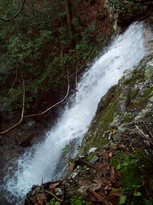 Lilybeth Falls (Devil's Fork Falls upper)
Taken by RAT on 11-14-2009
