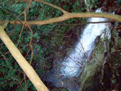 Lilybeth Falls (Devil's Fork Falls upper)
Taken by RAT on 11-14-2009
