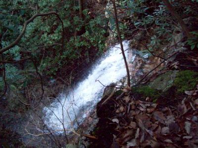 Lilybeth Falls (Devil's Fork Falls upper)
Taken by RAT on 11-14-2009
