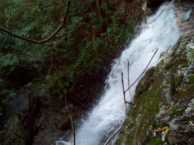 Lilybeth Falls (Devil's Fork Falls upper)
Taken by RAT on 11-14-2009
