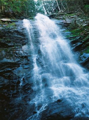 Sill Branch Falls (lower)
4-2009
