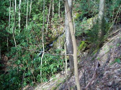 Sill Branch 
Misc. falls found on  upper North Sill Branch
