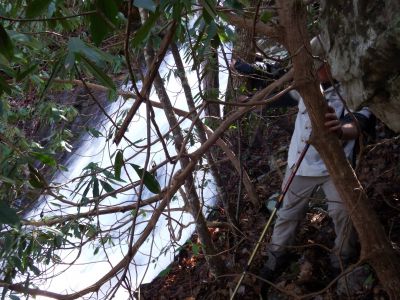  Not far from the top of the falls - Taken 3-15-2015 (Photo by John Forbes) 
