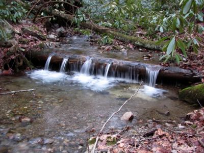 Small log falls along Rock Creek
Taken 1-23-2010
