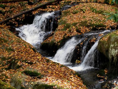 Rocky Fork Cascades
Cascades found along Rocky Fork Creek (above the falls) taken 10-19-2010
