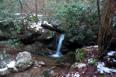 Small Falls located on South Fork of Sill Branch just before it converges with the North Fork - Taken 11-30-2013
