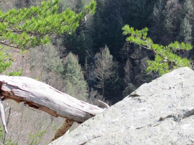 Sill Branch Falls (lower)
As seen from the Monkeyhead Rocks aka Sill Branch Overlook taken 3-19-2010
