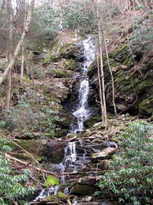 Simmons Branch Falls (upper)
Taken on 4-3-2010  (find Bol'dar) 
