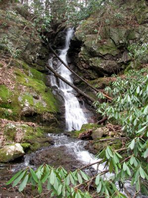 Simmons Branch Falls  (lower)
Taken on 4-3-2010
