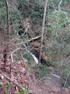 Simmons Branch Falls  (lower)
Taken on 4-3-2010
