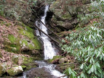 Simmons Branch Falls  (lower)
Taken on 4-3-2010
