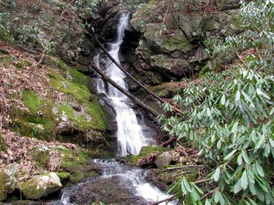 Simmons Branch Falls  (lower)
Taken on 4-3-2010
