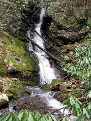 Simmons Branch Falls (lower) 
Taken 4-3-2010
