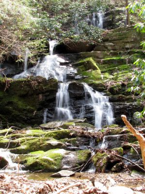 Simmons Branch Falls (middle)
Taken 4-3-2010
