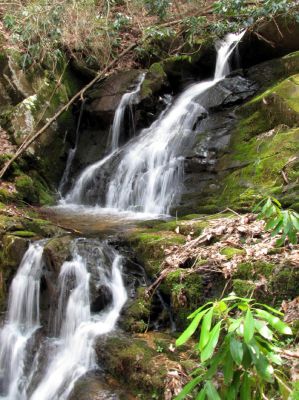 Simmons Branch Falls (middle)
Taken 4-3-2010 
