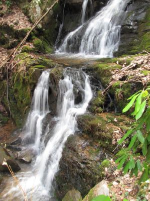 Simmons Branch Falls (middle)
Taken 4-3-2010
