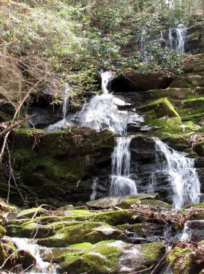 Simmons Branch Falls (middle)
Taken 4-3-2010
