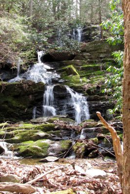 Simmons Branch Falls (middle)
Taken 4-3-2010
