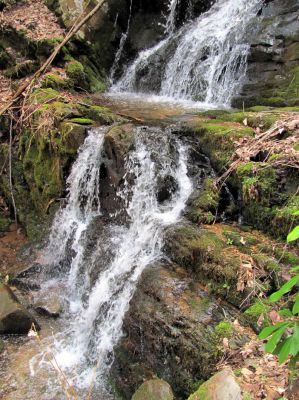 Simmons Branch Falls (middle)
Taken 4-3-2010
