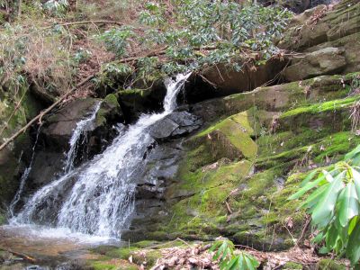 Simmons Branch Falls (middle)
Taken 4-3-2010
