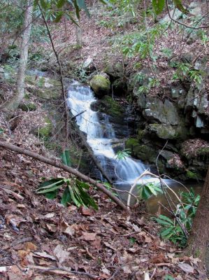 Small Falls (Clarks Creek)
Taken 4-2-2010
