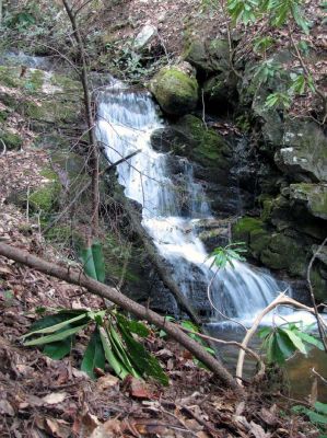 Small Falls (Clarks Creek)
Taken 4-2-2010
