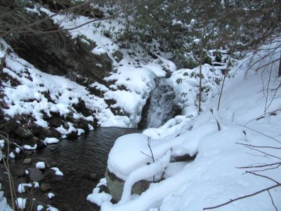 Squibb Creek Cascades
Cascades along Squibb Creek

