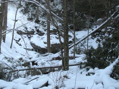 Squibb Creek Falls
Taken 2-19-2010
