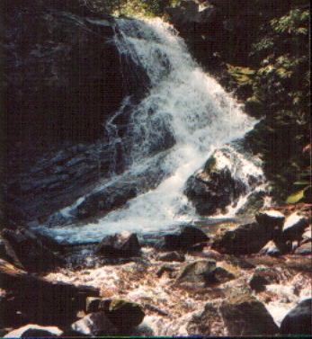 Squibb Creek Falls
Taken in early 90`s.
