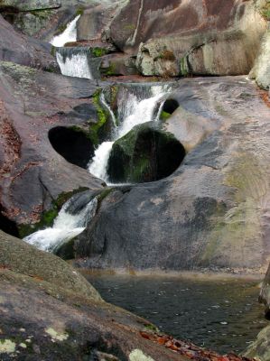 (Taken 12-19-2012)
