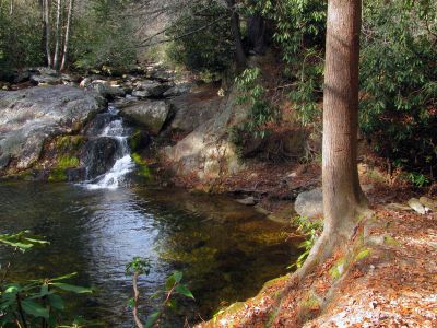swimming hole and cascades on Steels Creek about a mile below the falls (Taken 12-19-2012)
