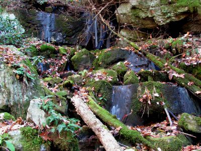 Sulphur Spring Branch Falls (lower)
Lower falls.
