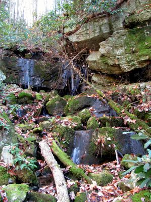 Sulphur Spring Branch Falls (lower)
Lower falls.

