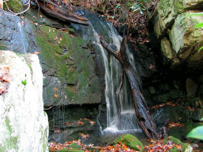 Sulphur Spring Branch Falls (lower)
Top portion of the lower falls.

