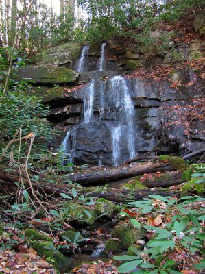 Sulphur Spring Branch Falls  (upper)
Upper falls.
