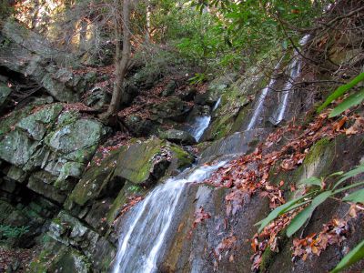 Sulphur Spring Branch Falls
Top part of upper falls.
