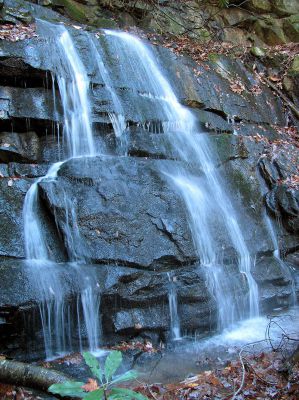 Sulphur Spring Branch Falls
Upper falls as seen from the left side.
