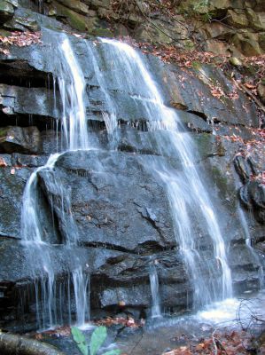 Sulphur Spring Branch Falls
Upper falls as seen from the left side.
