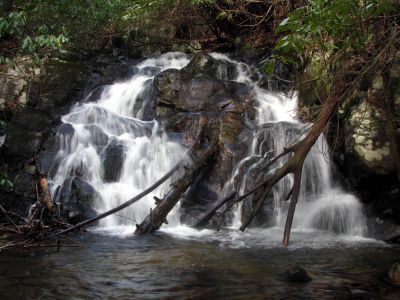 First set of falls found well above the Lower Higgins Creek Falls - taken Feb. 3, 2012
