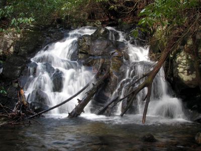 First set of falls found well above the Lower Higgins Creek Falls - taken Feb. 3, 2012

