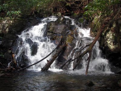First set of falls found well above the Lower Higgins Creek Falls - taken Feb. 3, 2012
