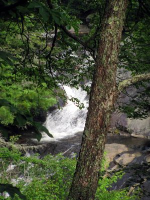 View of small falls that are located just above the top of the upper Upper Creek Falls as seen from the trail above - Taken 8-9-2012
