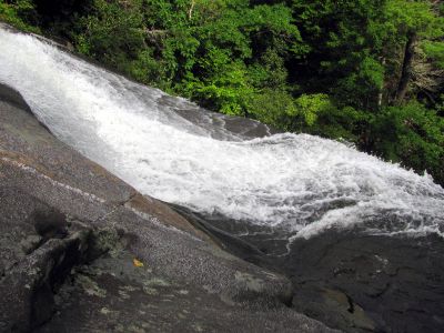 Top of the upper Upper Creek Falls Taken 8-9-2012
